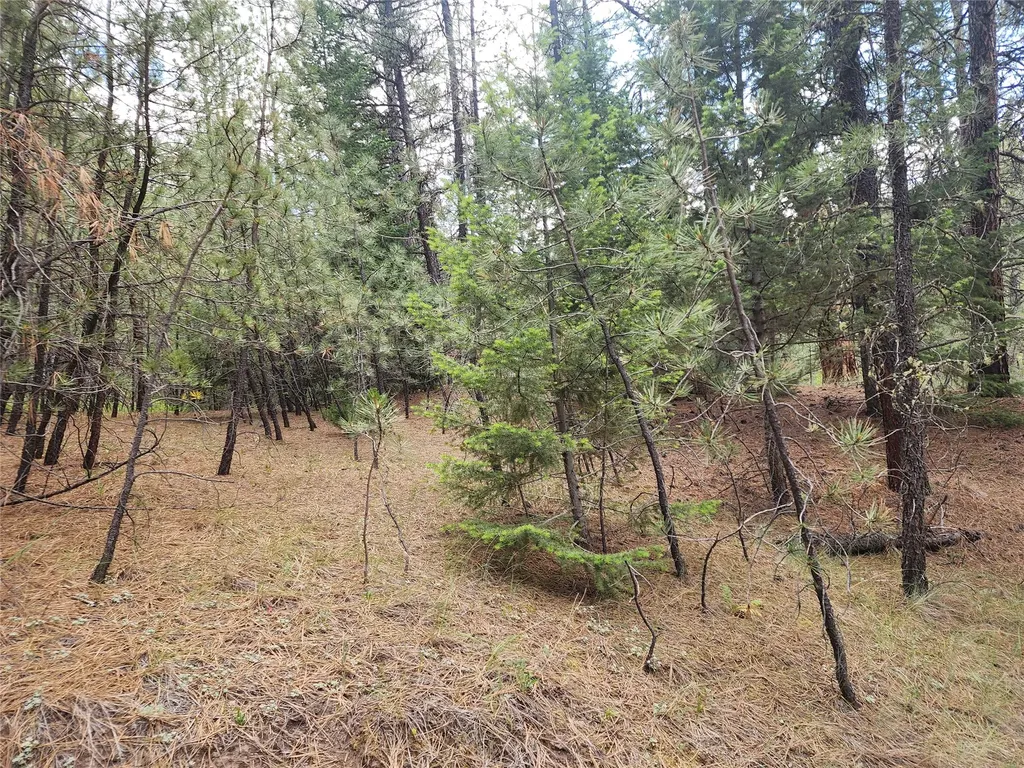 218 Upper Sawmill Creek Lane Cascade MT 59421