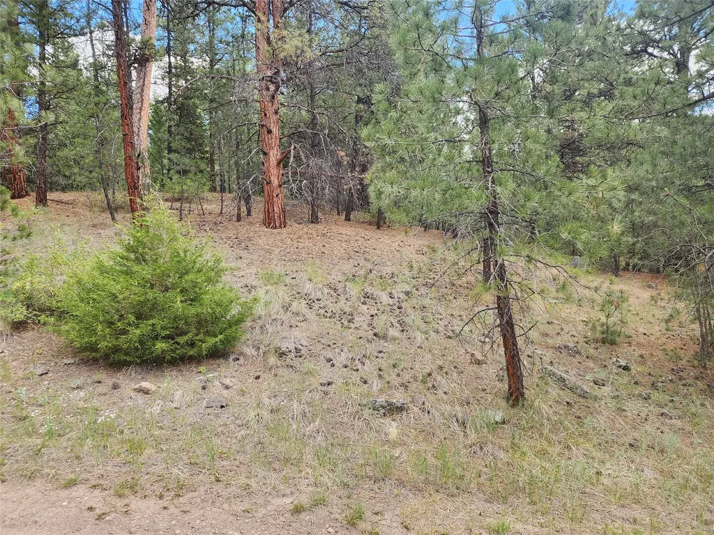 218 Upper Sawmill Creek Lane Cascade MT 59421