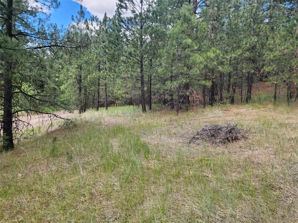 218 Upper Sawmill Creek Lane Cascade MT 59421