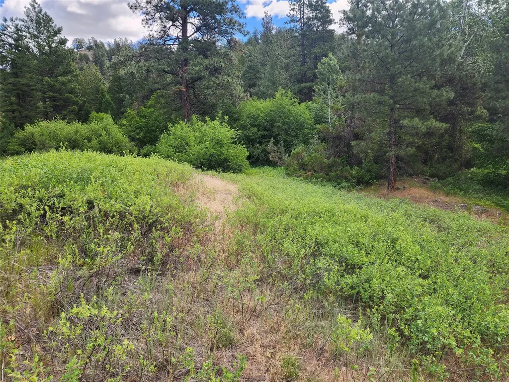 218 Upper Sawmill Creek Lane Cascade MT 59421