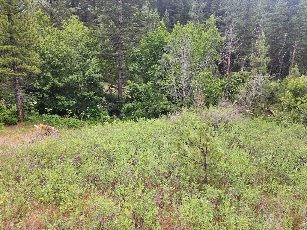 218 Upper Sawmill Creek Lane Cascade MT 59421
