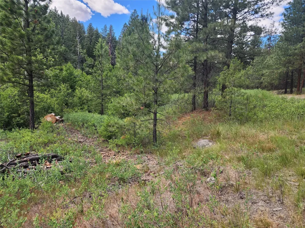 218 Upper Sawmill Creek Lane Cascade MT 59421