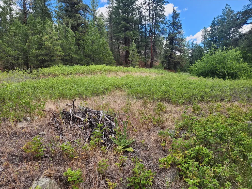 218 Upper Sawmill Creek Lane Cascade MT 59421