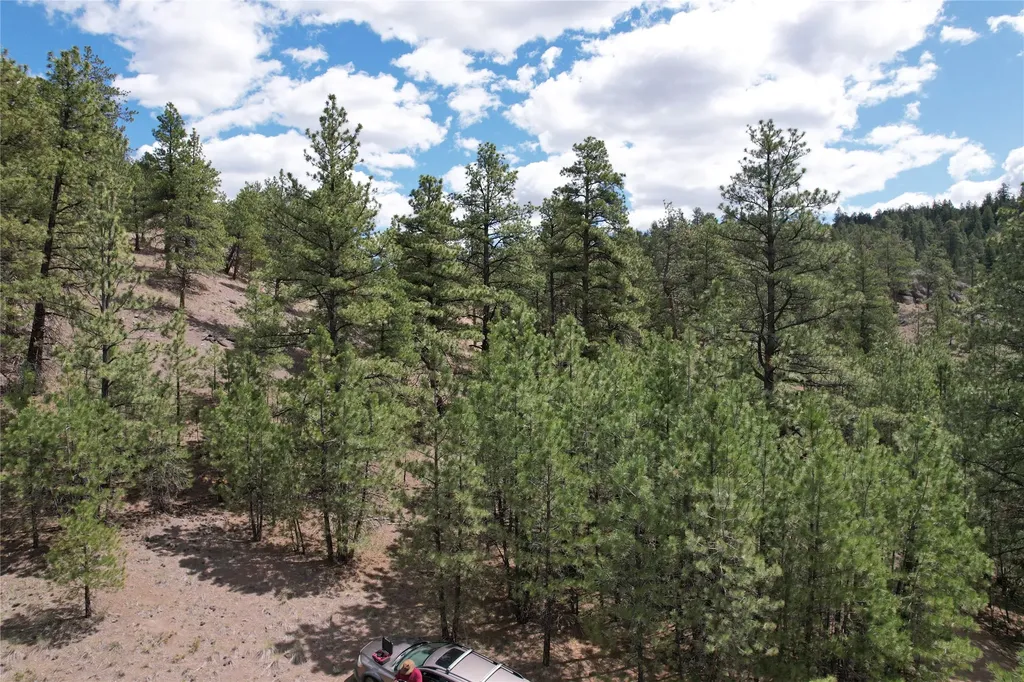 218 Upper Sawmill Creek Lane Cascade MT 59421