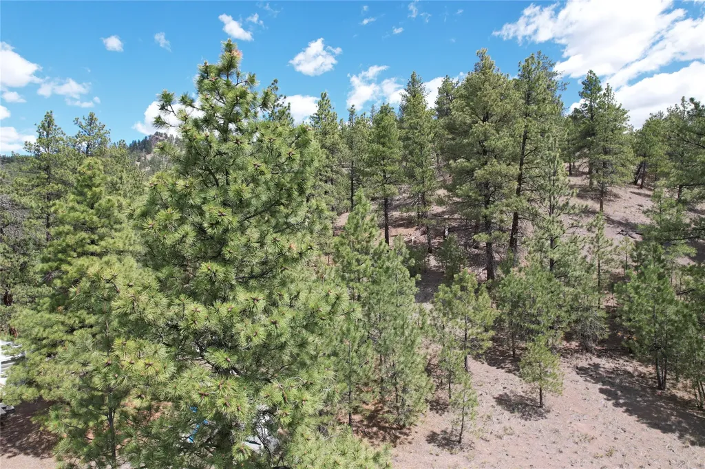 218 Upper Sawmill Creek Lane Cascade MT 59421