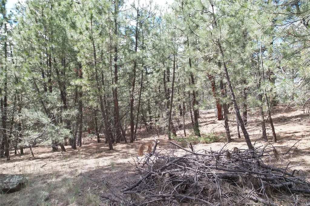 218 Upper Sawmill Creek Lane Cascade MT 59421