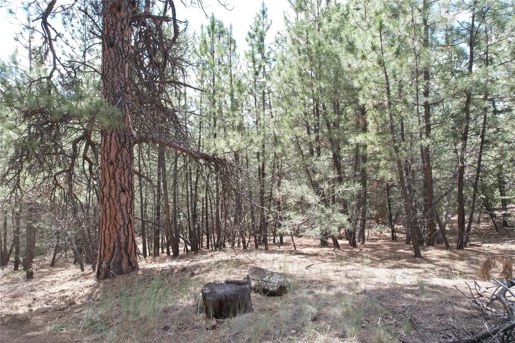 218 Upper Sawmill Creek Lane Cascade MT 59421