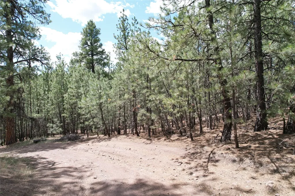 218 Upper Sawmill Creek Lane Cascade MT 59421