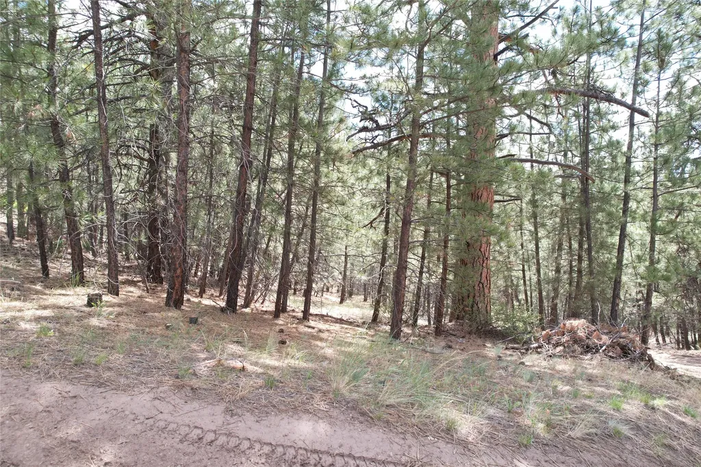 218 Upper Sawmill Creek Lane Cascade MT 59421