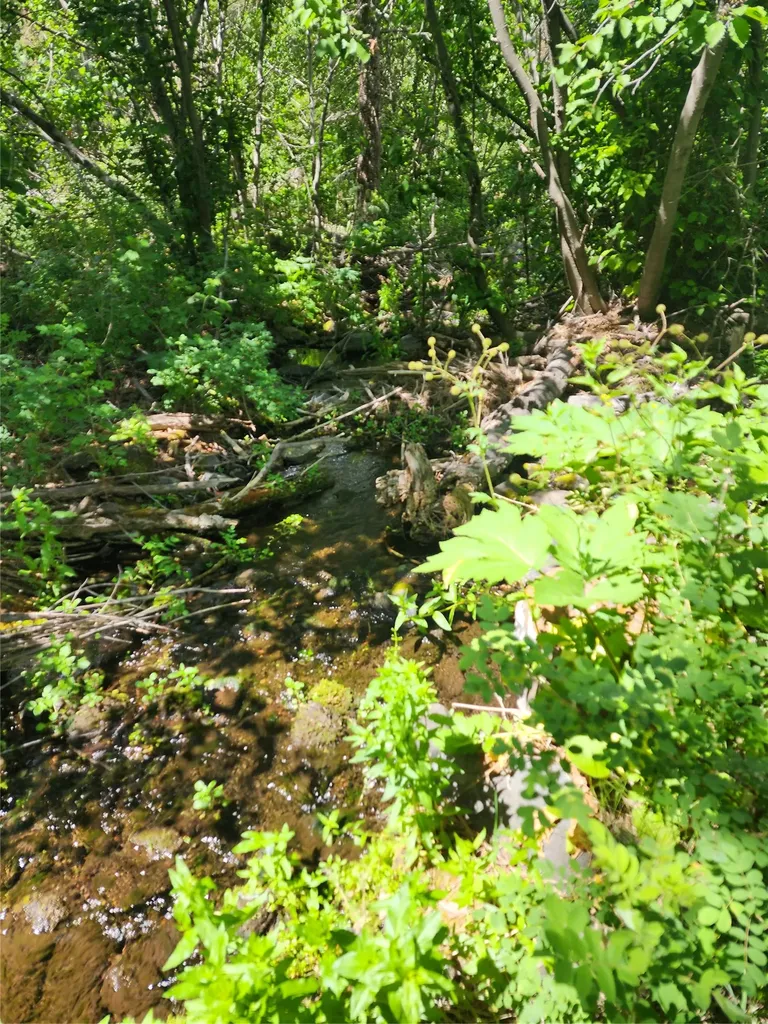 218 Upper Sawmill Creek Lane Cascade MT 59421