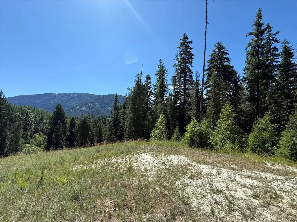 Lot 1 Creek View Lane Troy MT 59935