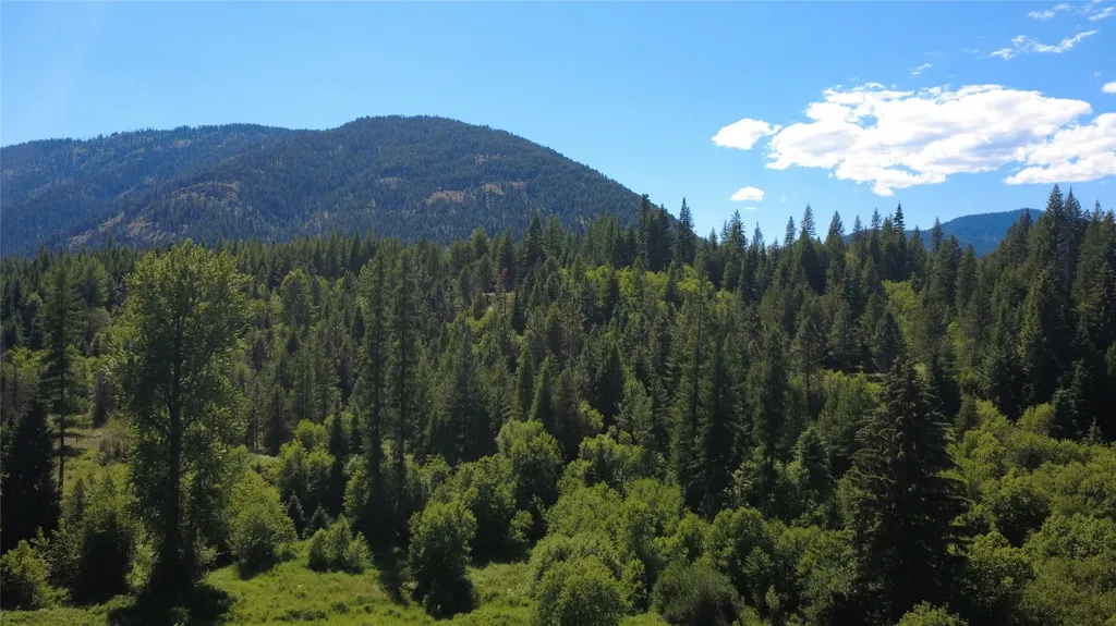 Lot 1 Creek View Lane Troy MT 59935