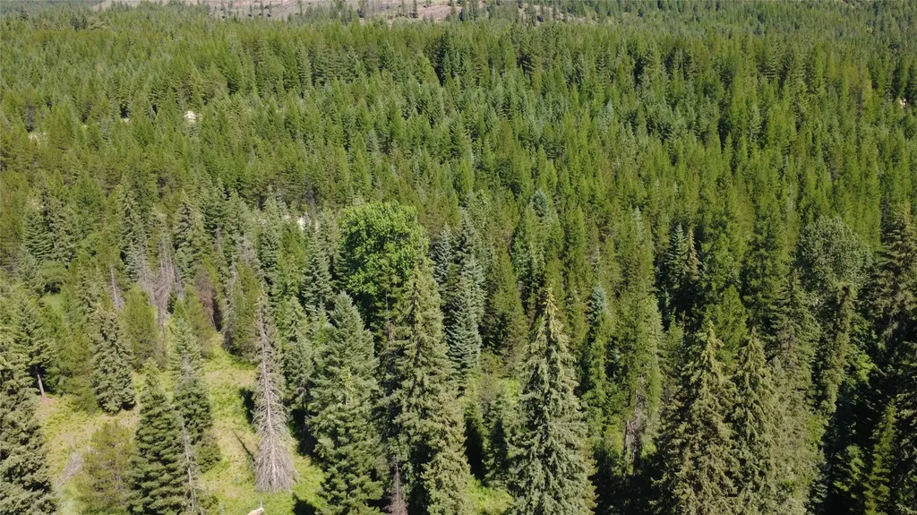 Lot 1 Creek View Lane Troy MT 59935