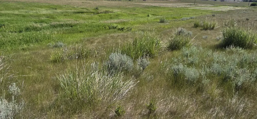 Tbd Lone Pine Road Helena MT 59602