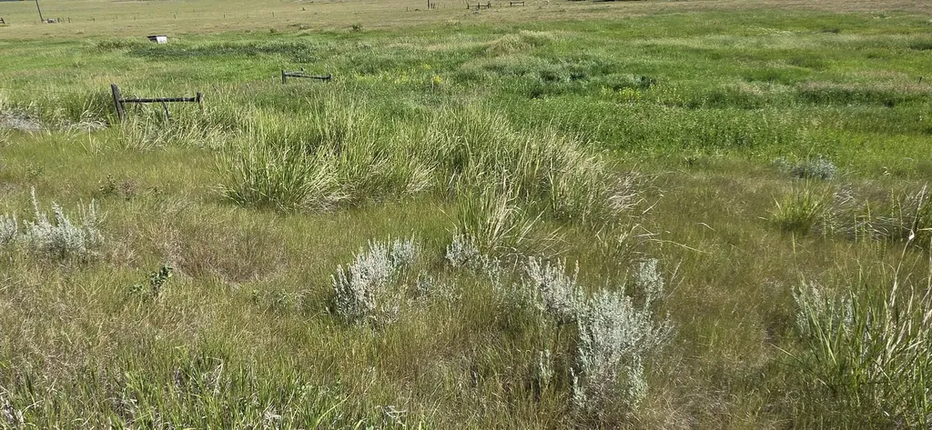 Tbd Lone Pine Road Helena MT 59602