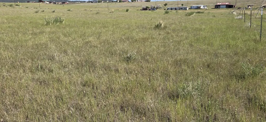 Tbd Lone Pine Road Helena MT 59602