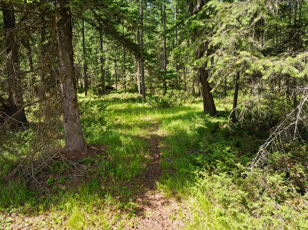 555 & 561 Twin Bridges Road Whitefish MT 59937