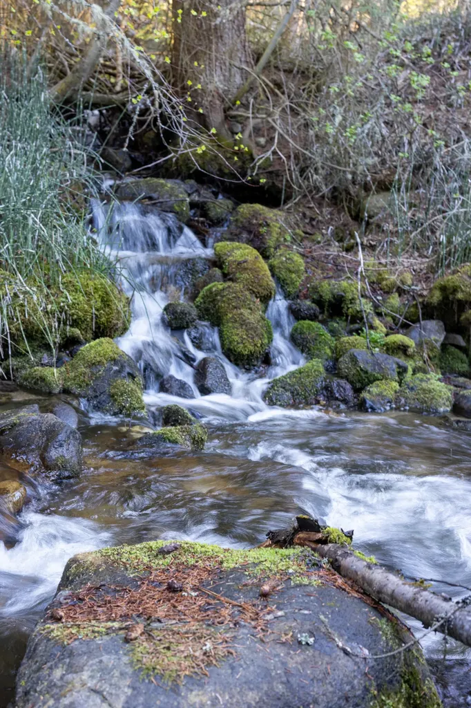 Bitterroot Highlands At Willow Creek - Nhn Willow Creek Road Corvallis MT 59828