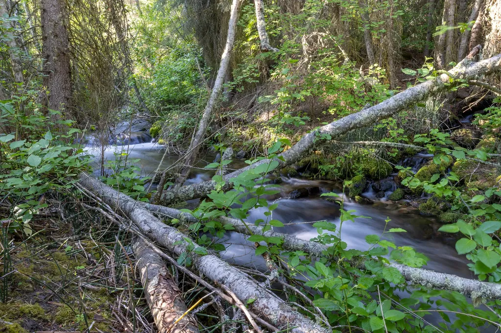 Bitterroot Highlands At Willow Creek - Nhn Willow Creek Road Corvallis MT 59828