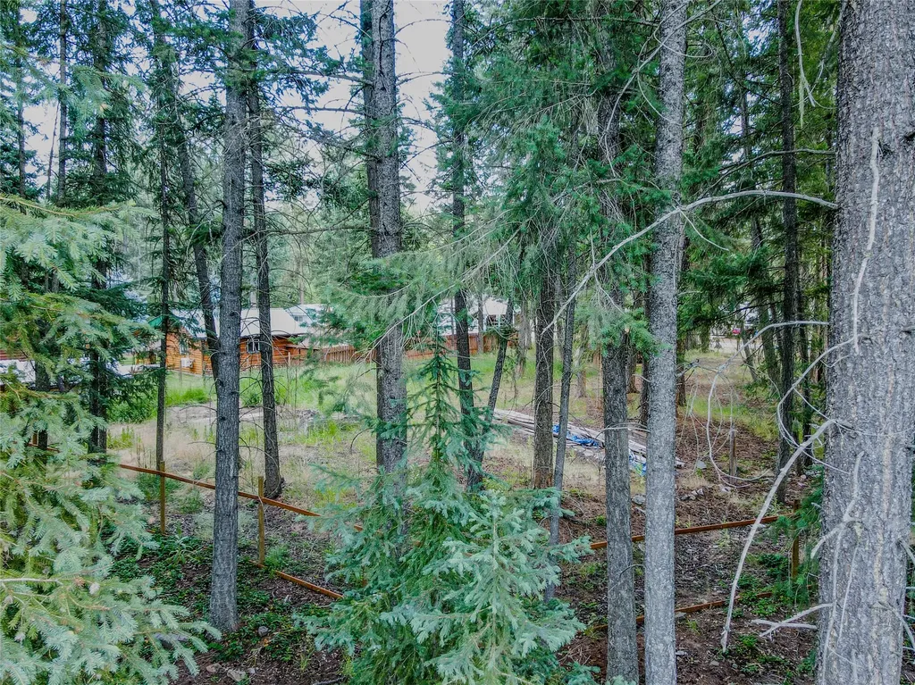 87 & 101 Evans Road Libby MT 59923