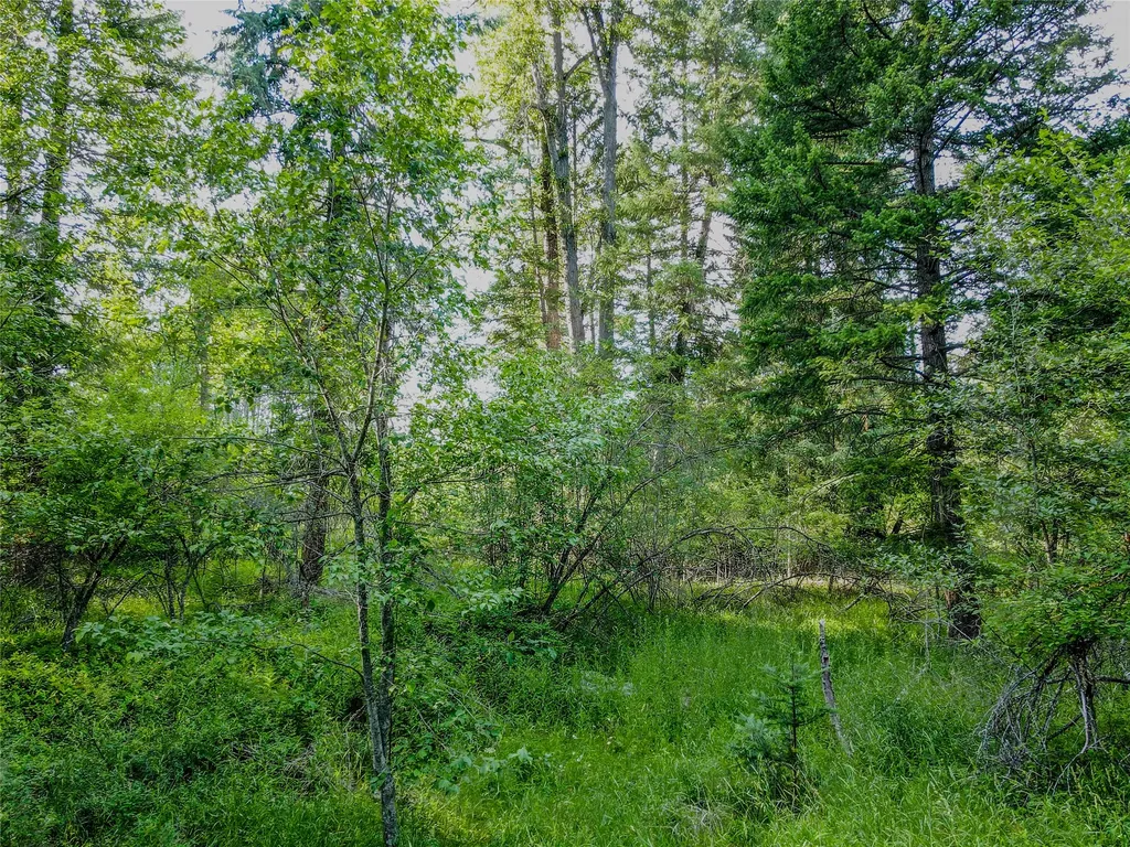 87 & 101 Evans Road Libby MT 59923