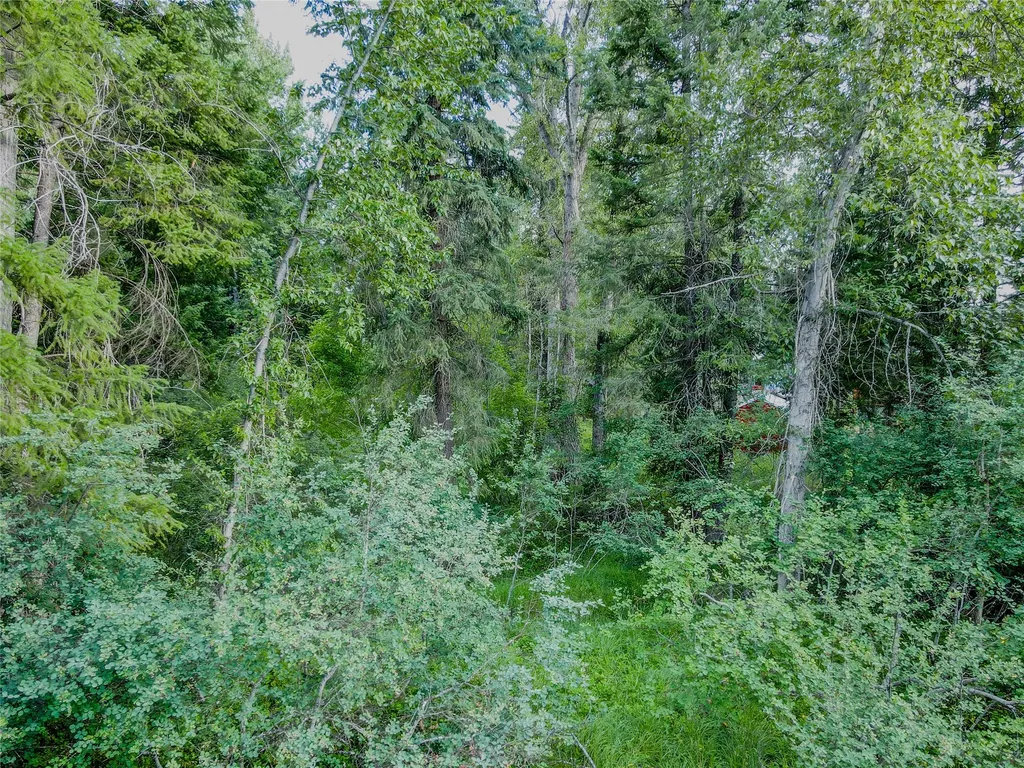 87 & 101 Evans Road Libby MT 59923