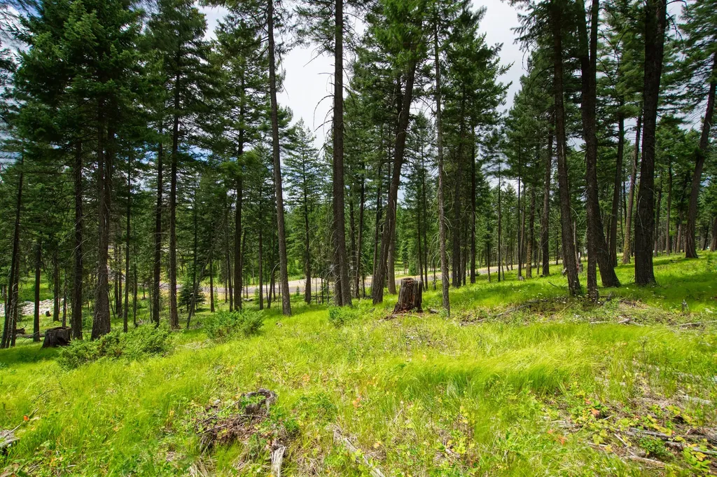 182 Rosewood Lane Whitefish MT 59937