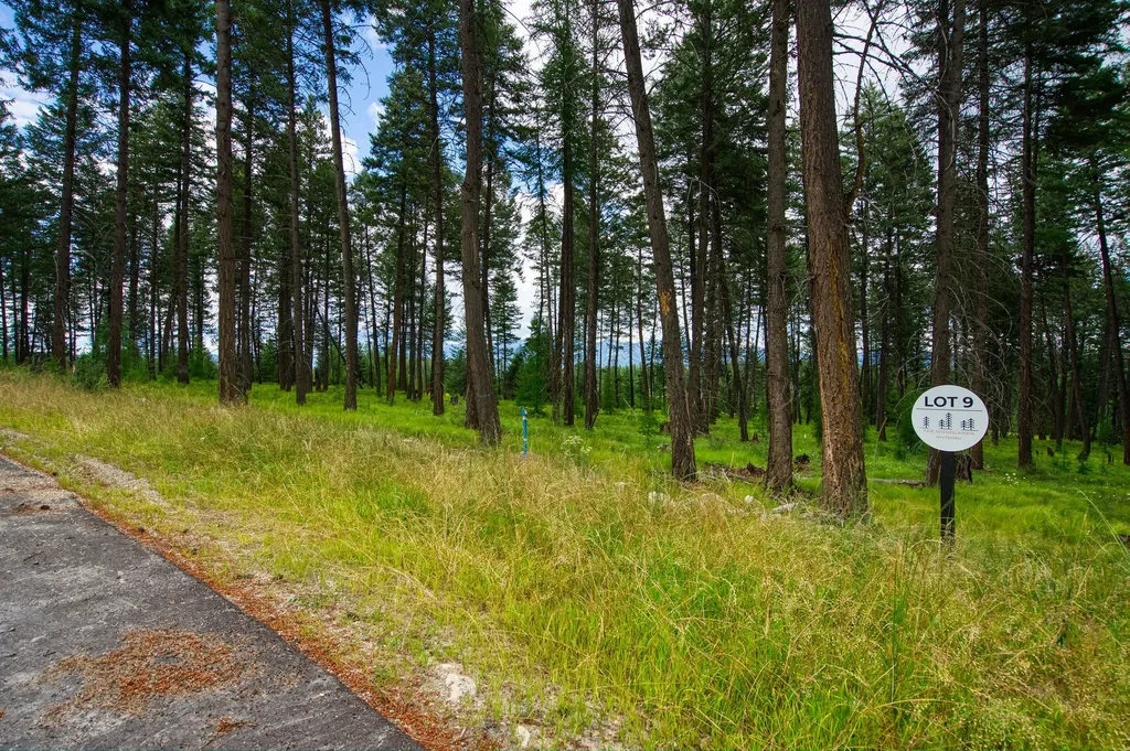 Address To Be Determined The Woodlands Whitefish MT 59937