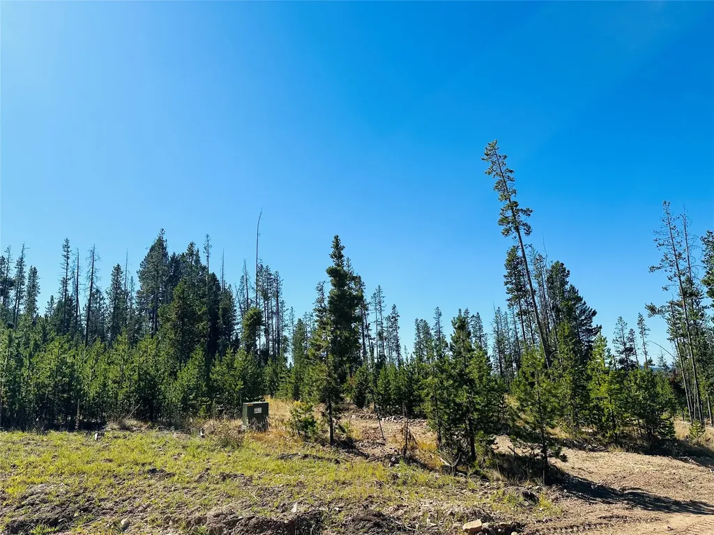 Nhn Argentite Lane Anaconda MT 59711