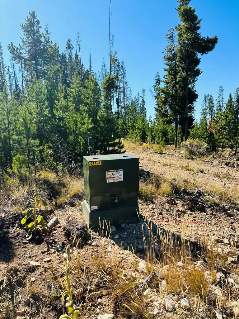 Nhn Argentite Lane Anaconda MT 59711