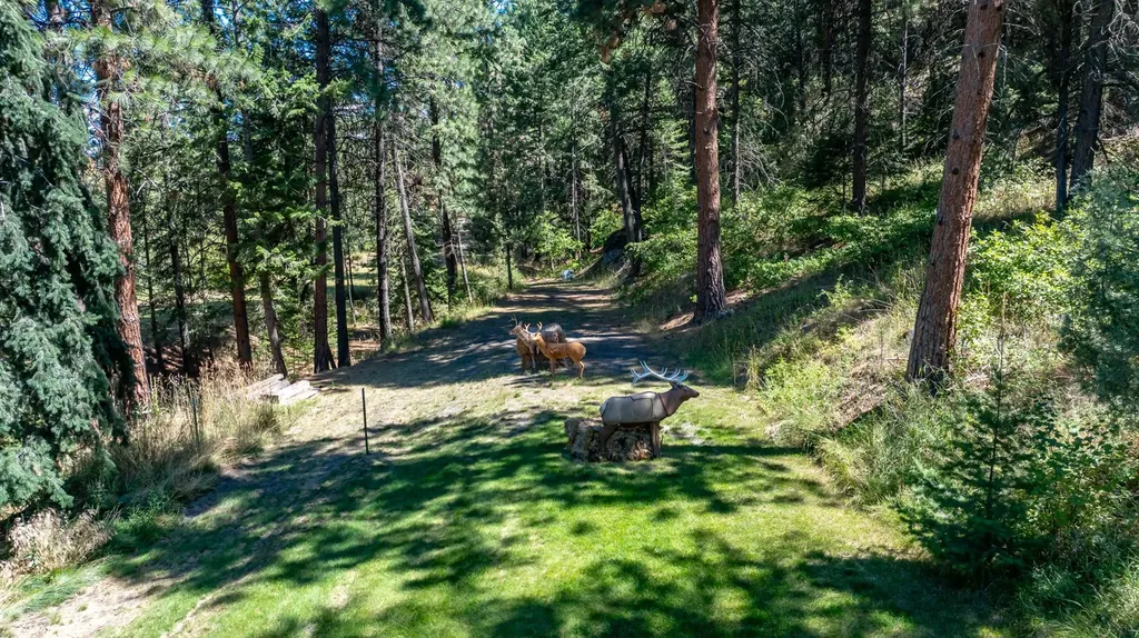 42827 Ponderosa Way Big Arm MT 59910