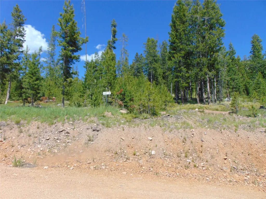 Nhn Argentite Lane Anaconda MT 59711