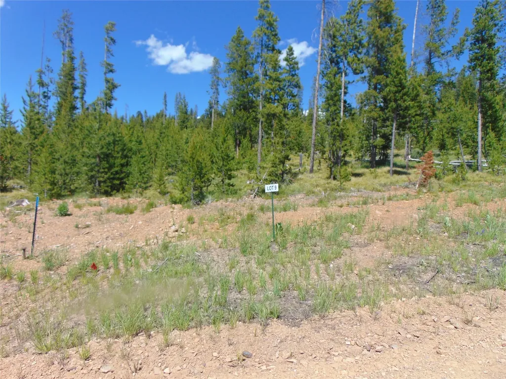 Nhn Covellite Lane Anaconda MT 59711