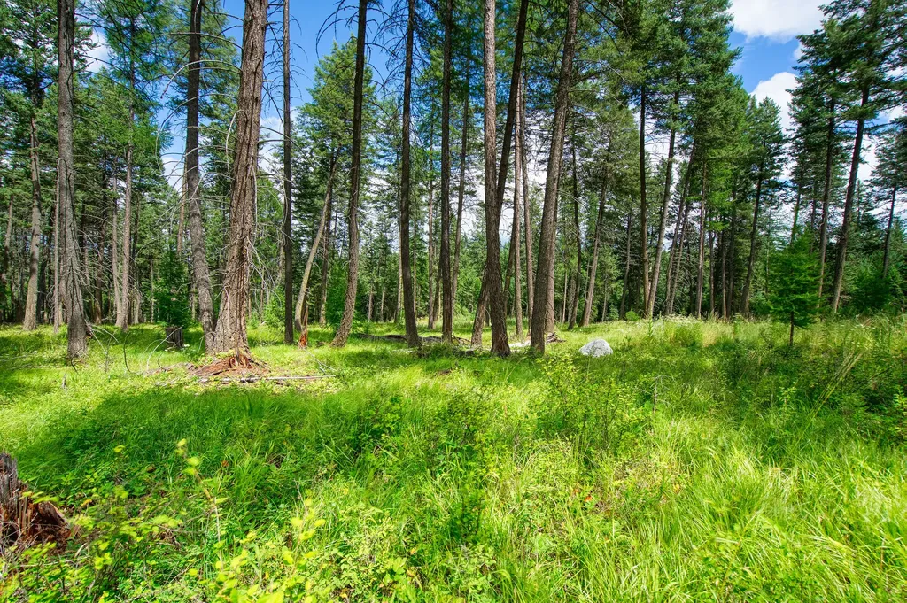 161 Rosewood Whitefish MT 59937