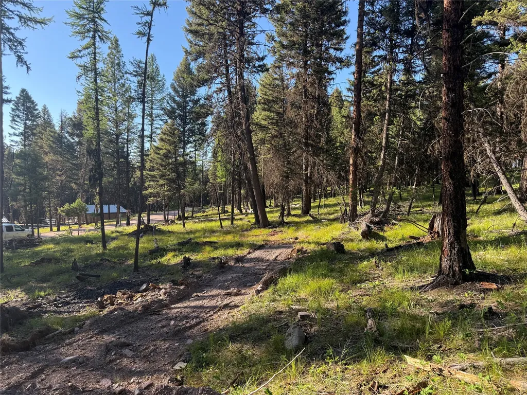 1016 Grandview Drive Seeley Lake MT 59868