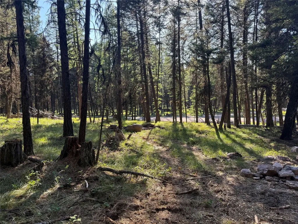 1016 Grandview Drive Seeley Lake MT 59868