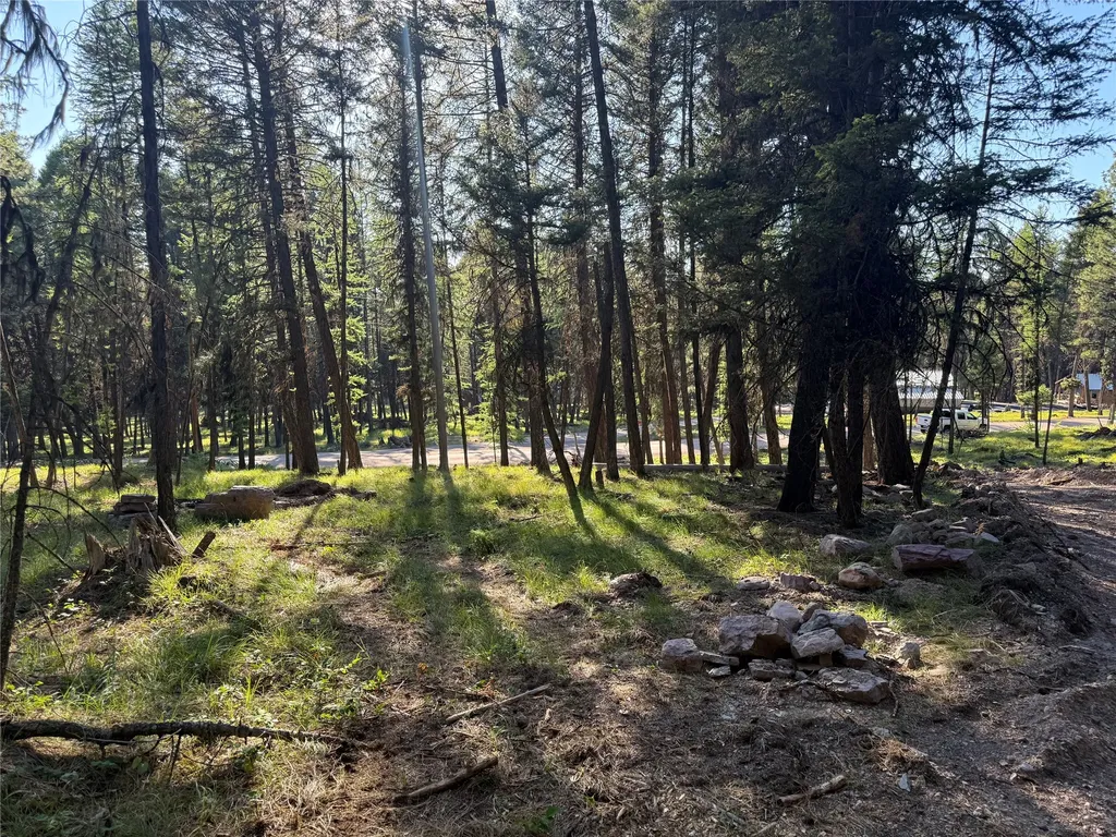 1016 Grandview Drive Seeley Lake MT 59868