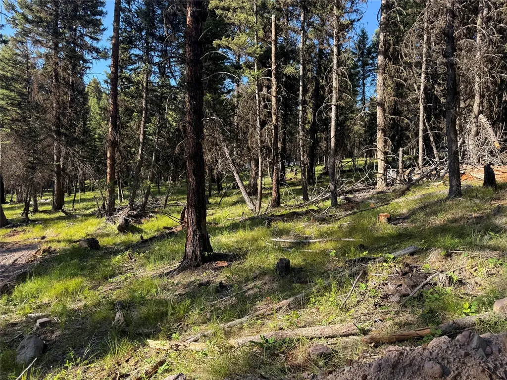 1016 Grandview Drive Seeley Lake MT 59868