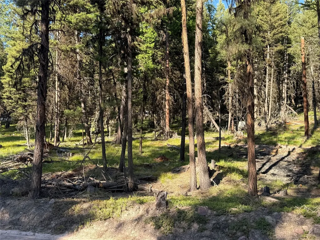 1016 Grandview Drive Seeley Lake MT 59868