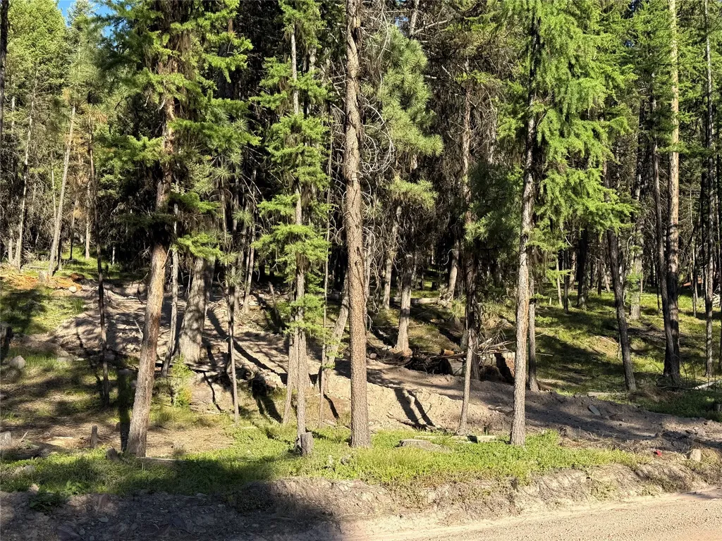 1016 Grandview Drive Seeley Lake MT 59868