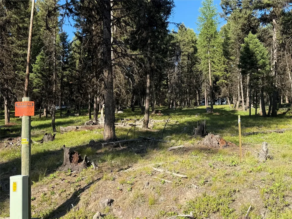 1016 Grandview Drive Seeley Lake MT 59868