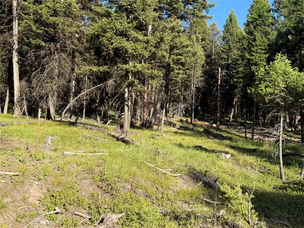 1016 Grandview Drive Seeley Lake MT 59868