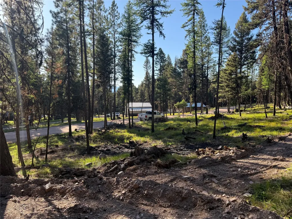 1016 Grandview Drive Seeley Lake MT 59868