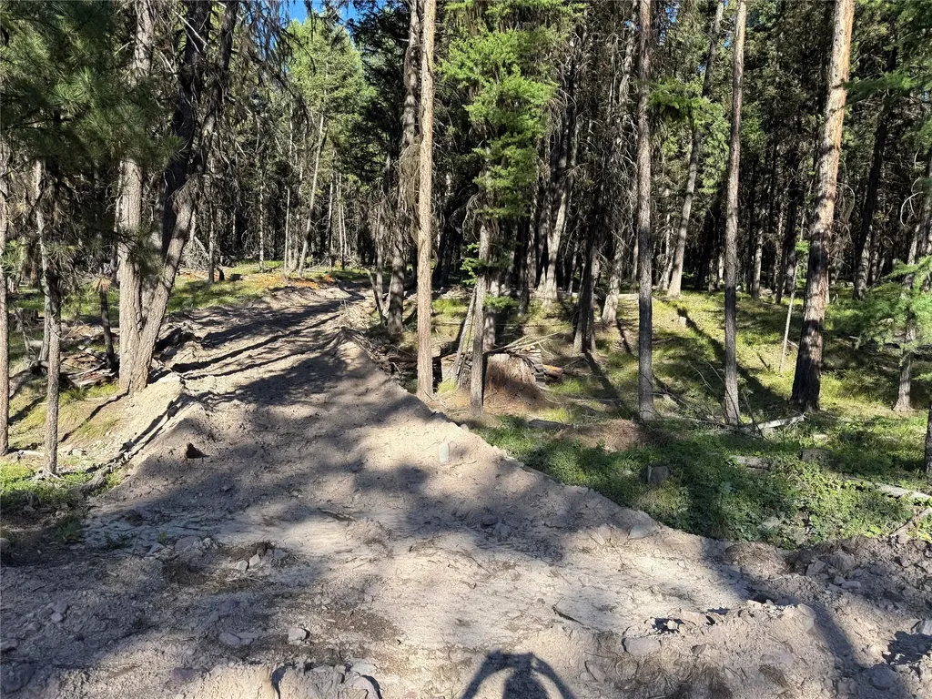 1016 Grandview Drive Seeley Lake MT 59868