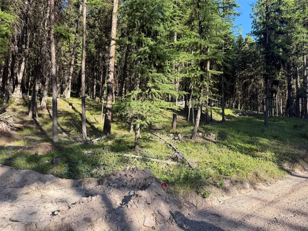 1016 Grandview Drive Seeley Lake MT 59868