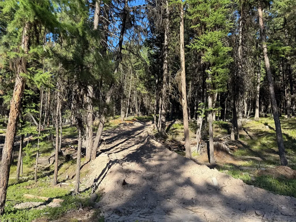 1016 Grandview Drive Seeley Lake MT 59868