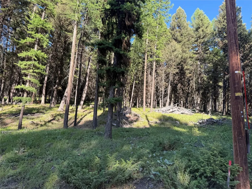1016 Grandview Drive Seeley Lake MT 59868