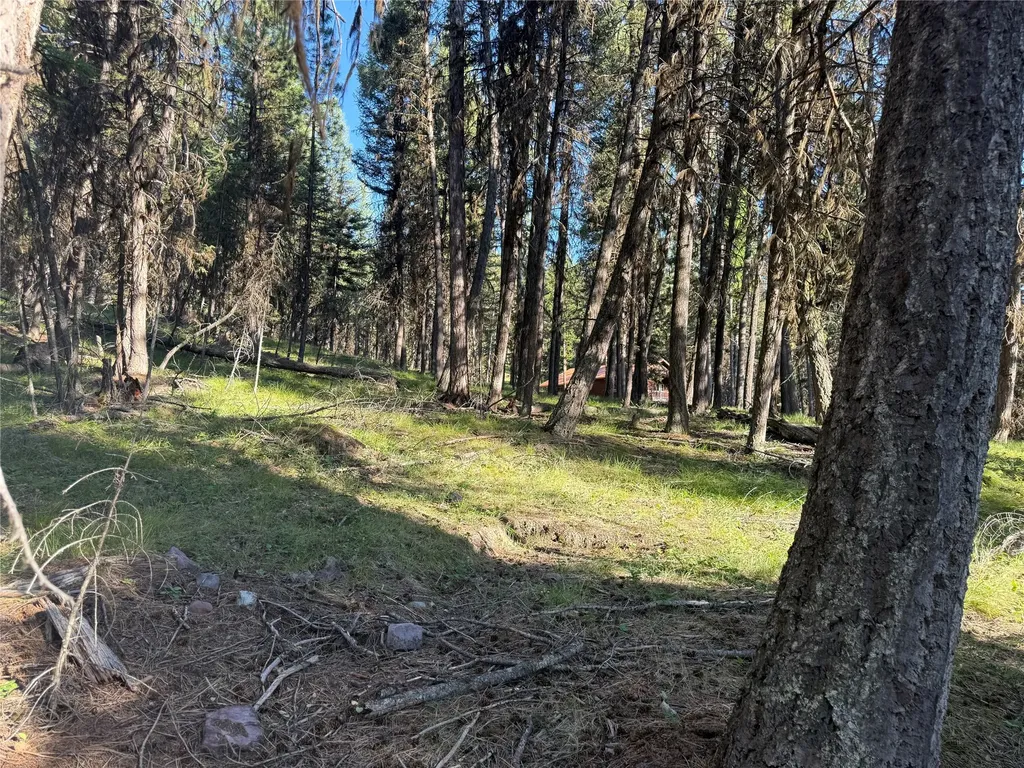 1016 Grandview Drive Seeley Lake MT 59868