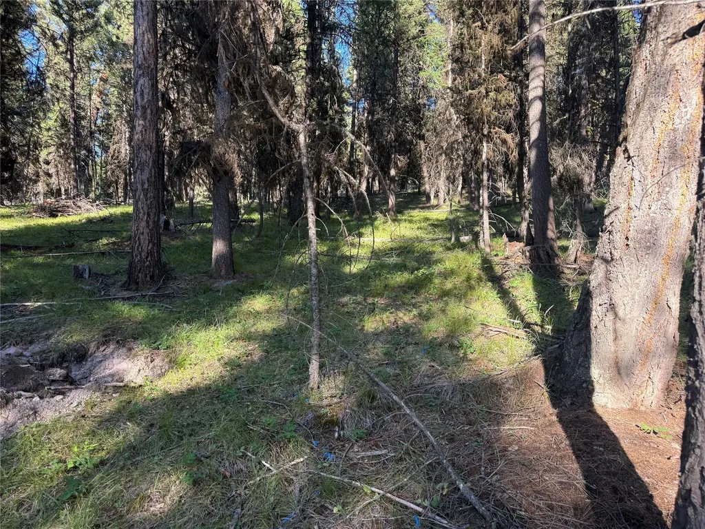 1016 Grandview Drive Seeley Lake MT 59868
