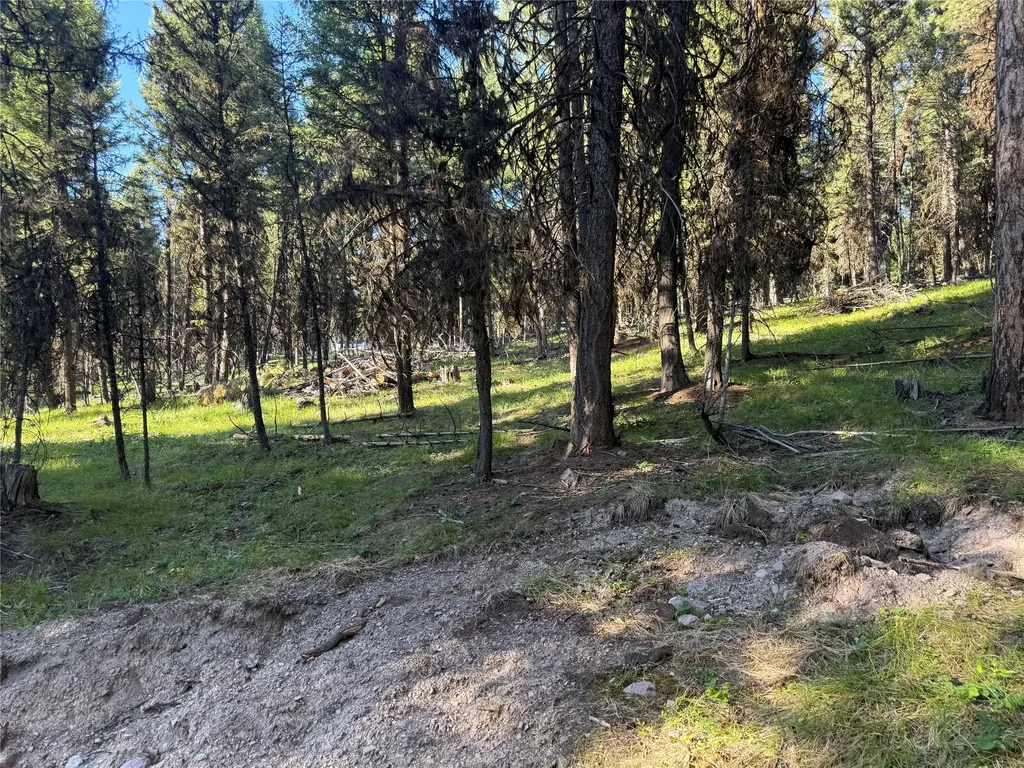 1016 Grandview Drive Seeley Lake MT 59868